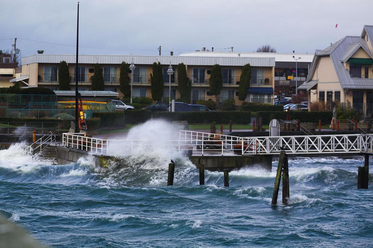 Sidney Waterfront Inn & Suites Kültér fotó
